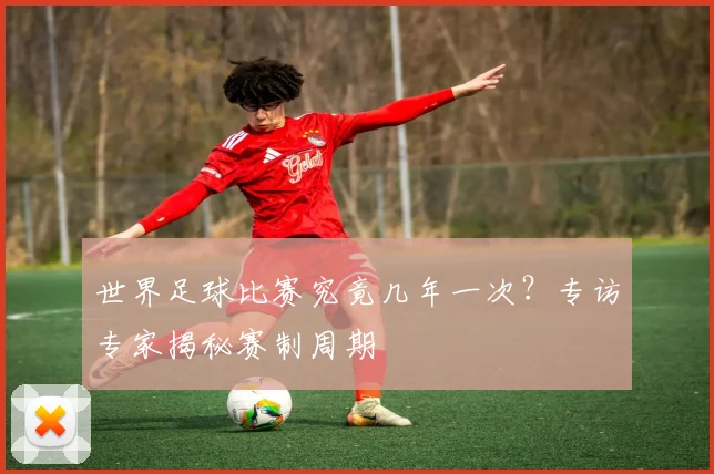 世界足球比赛究竟几年一次？专访专家揭秘赛制周期