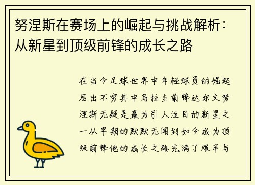 努涅斯在赛场上的崛起与挑战解析：从新星到顶级前锋的成长之路