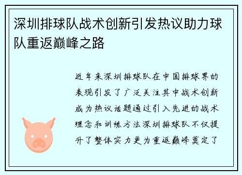 深圳排球队战术创新引发热议助力球队重返巅峰之路