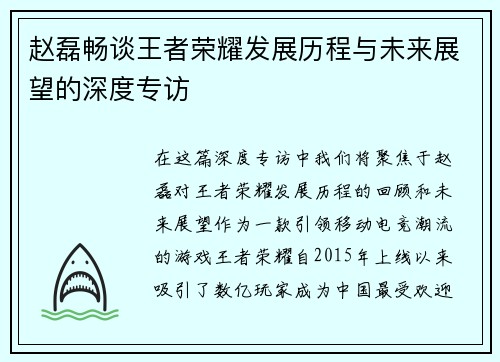 赵磊畅谈王者荣耀发展历程与未来展望的深度专访