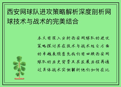 西安网球队进攻策略解析深度剖析网球技术与战术的完美结合