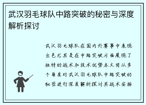 武汉羽毛球队中路突破的秘密与深度解析探讨